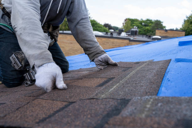 Roof Waterproofing Services in Lynchburg, MS