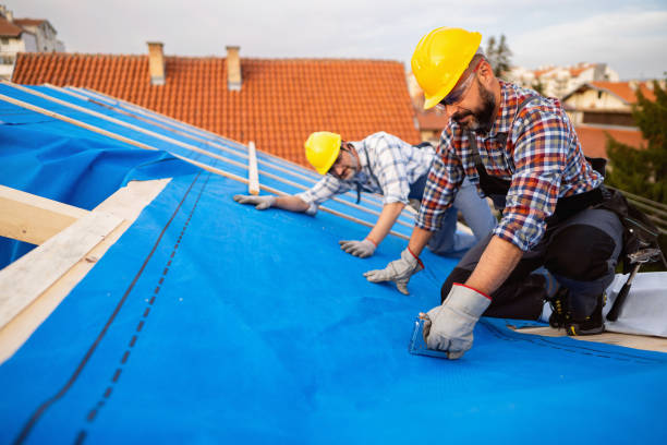 Best Roof Restoration Services  in Lynchburg, MS